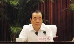 长沙市政协原主席谢树林被公诉 落马时已卸任多年，通报称其“全家上阵搞家庭式腐败”